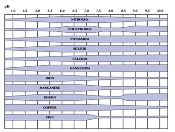 Intro to Fert Figure 3 pH chart.png